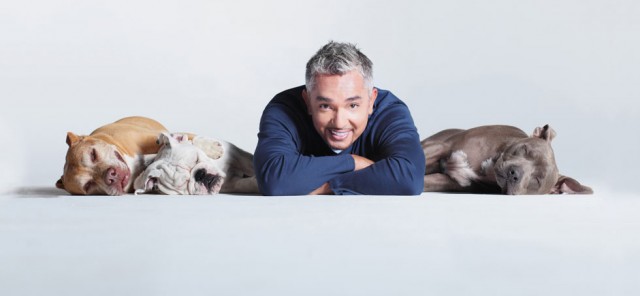 Cesar-Millan-Westbury-Music-Fair