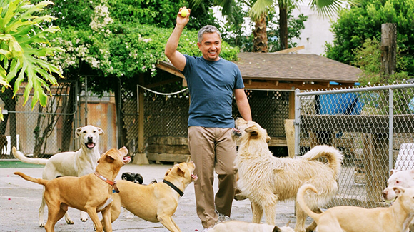 Cesar Millan at NYCB Theatre at Westbury