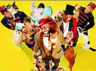 Popovich Comedy Pet Theatre